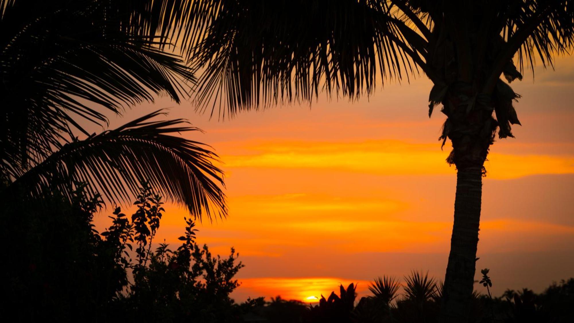 Starry Nights Dreamy 4Br Ainamalu Home With Mountain View Waikoloa Eksteriør billede