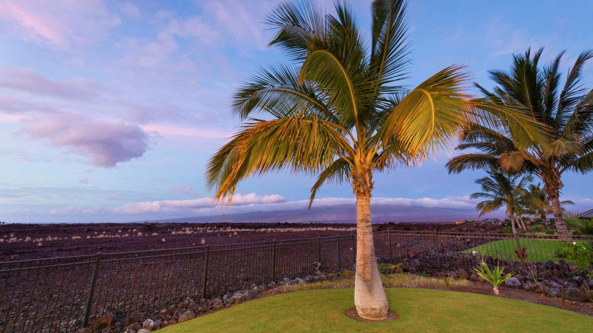 Starry Nights Dreamy 4Br Ainamalu Home With Mountain View Waikoloa Eksteriør billede