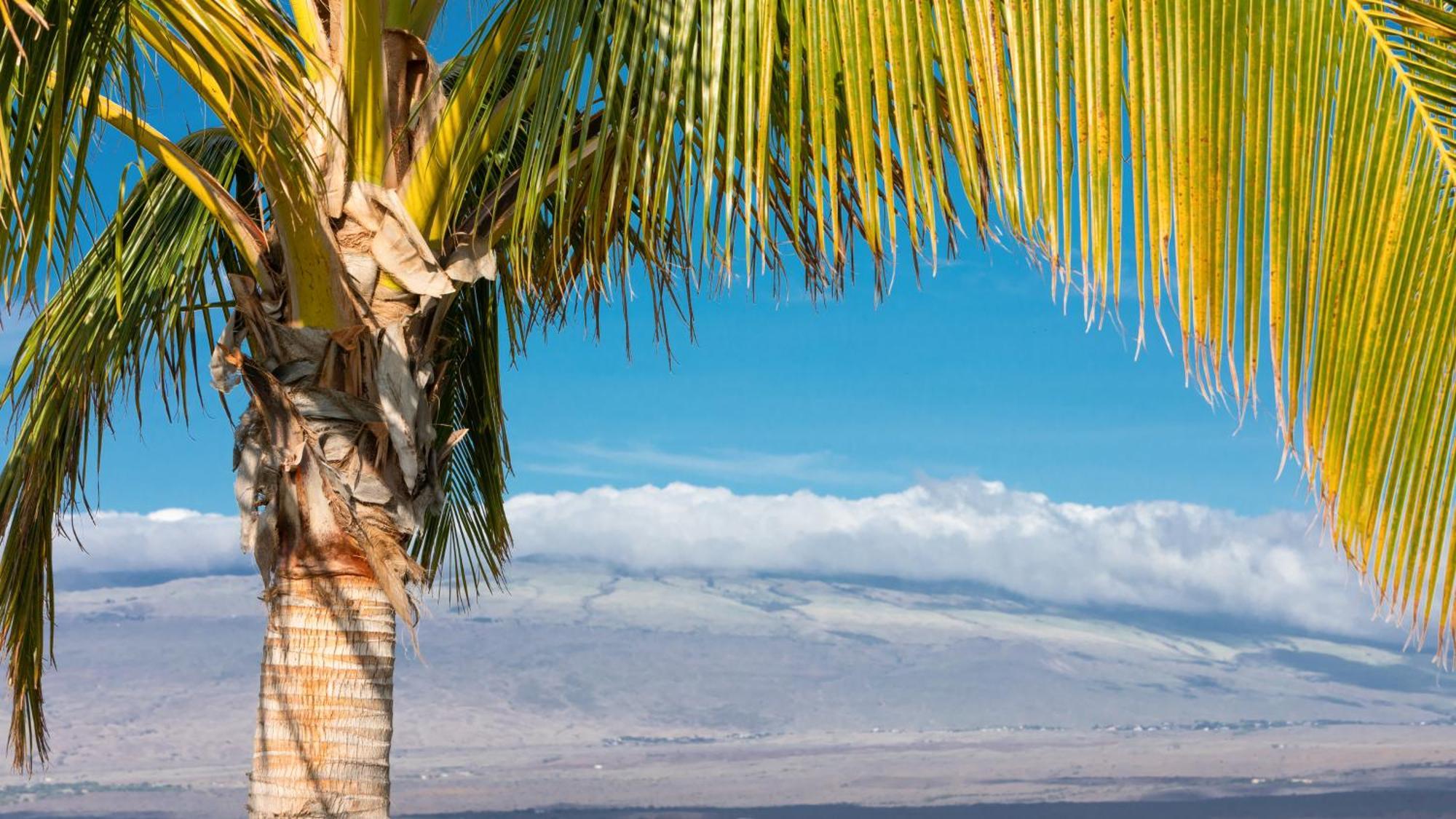 Starry Nights Dreamy 4Br Ainamalu Home With Mountain View Waikoloa Eksteriør billede